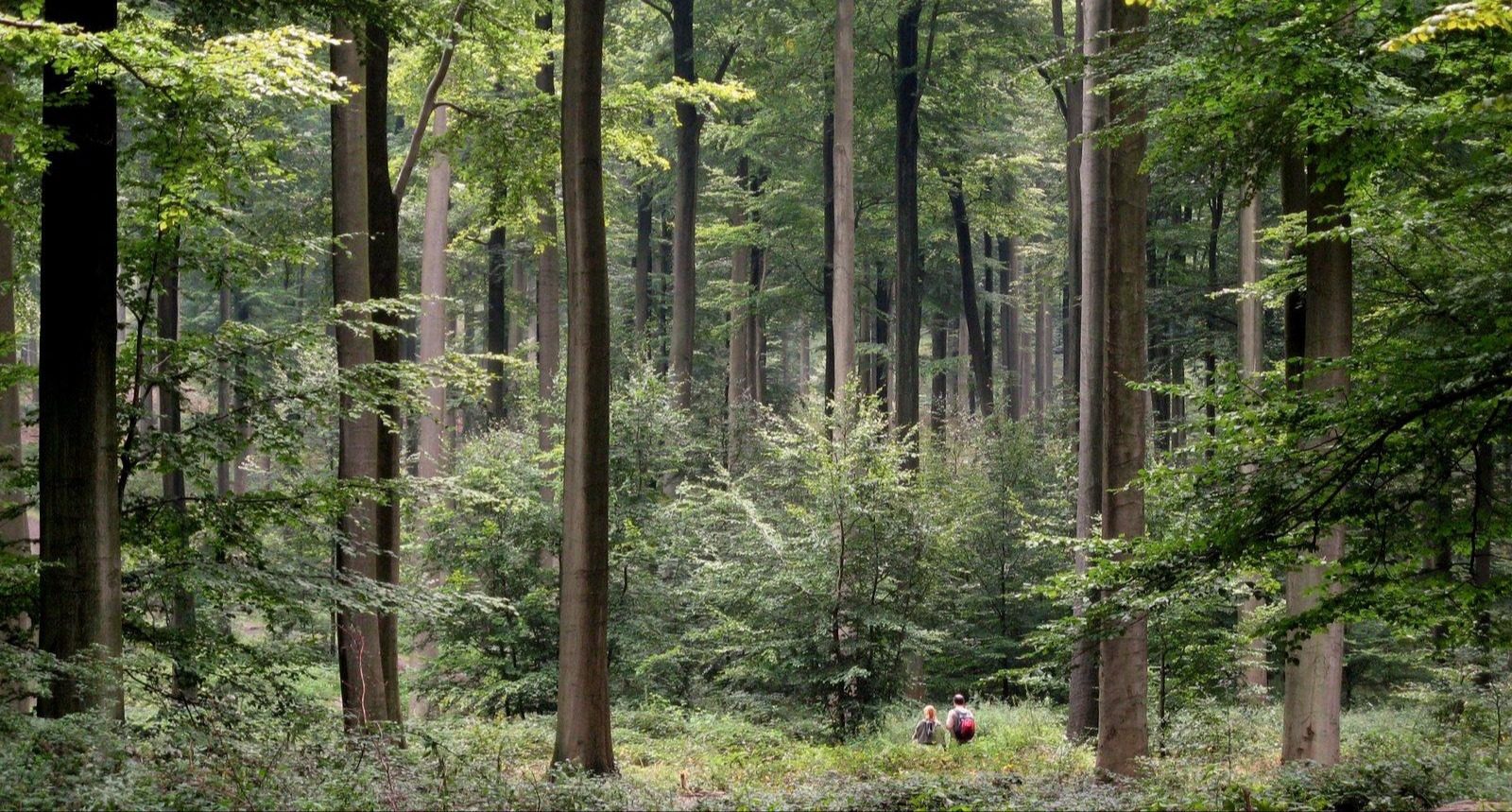 © Visit Ardenne / D. Reiskoffer