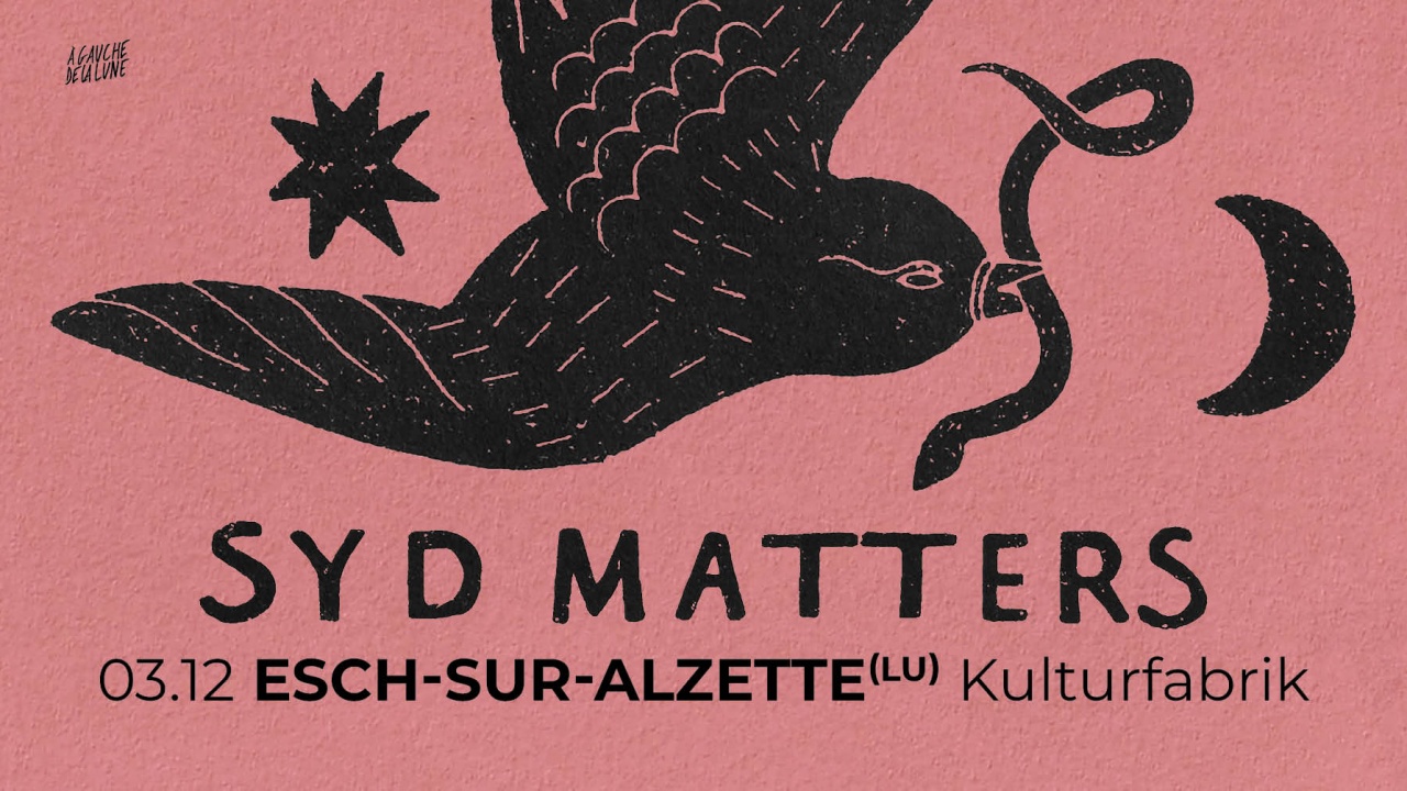 Syd Matters en concert à la Kulturfabrik