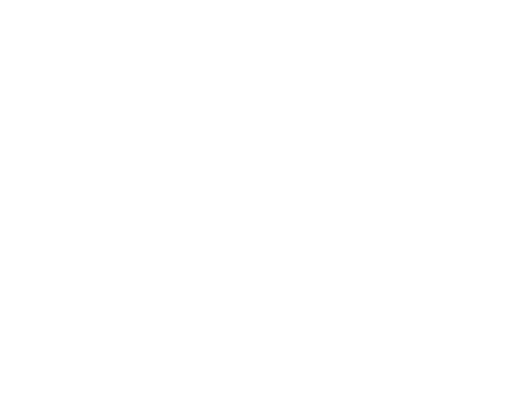 InVision